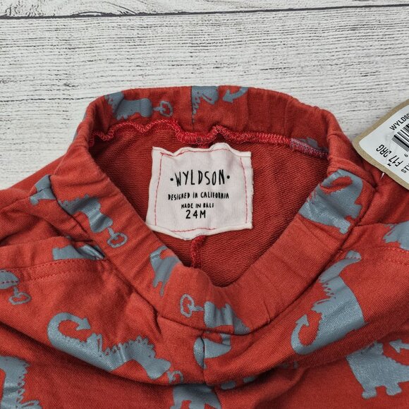 NWT Wyldson Little Baby‎ Boys' Dragon Harem Pants Size 24 months - Picture 2 of 4